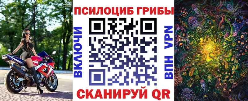 Псилоцибиновые грибы Cubensis  где купить наркотик  Магадан 